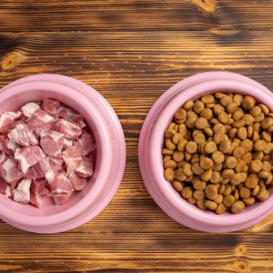 غذای خشک سگ حاوی ماهی و خرگوش|آکواتول