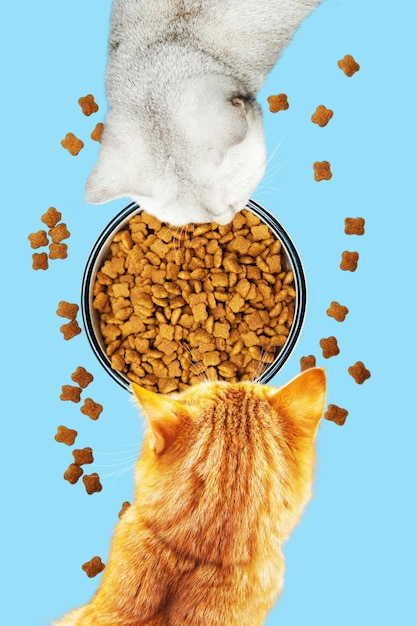 غذای خشک گربه با طعم مرغ و بوفالو|آکواتول