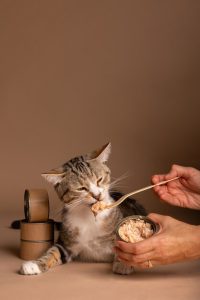 پوچ گربه ویسکاس با طعم خرچنگ و سالمون