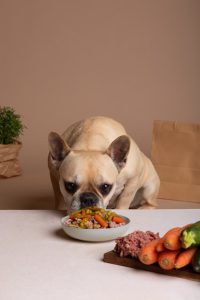 غذای خشک سگ با طعم گوزن و لوبیا